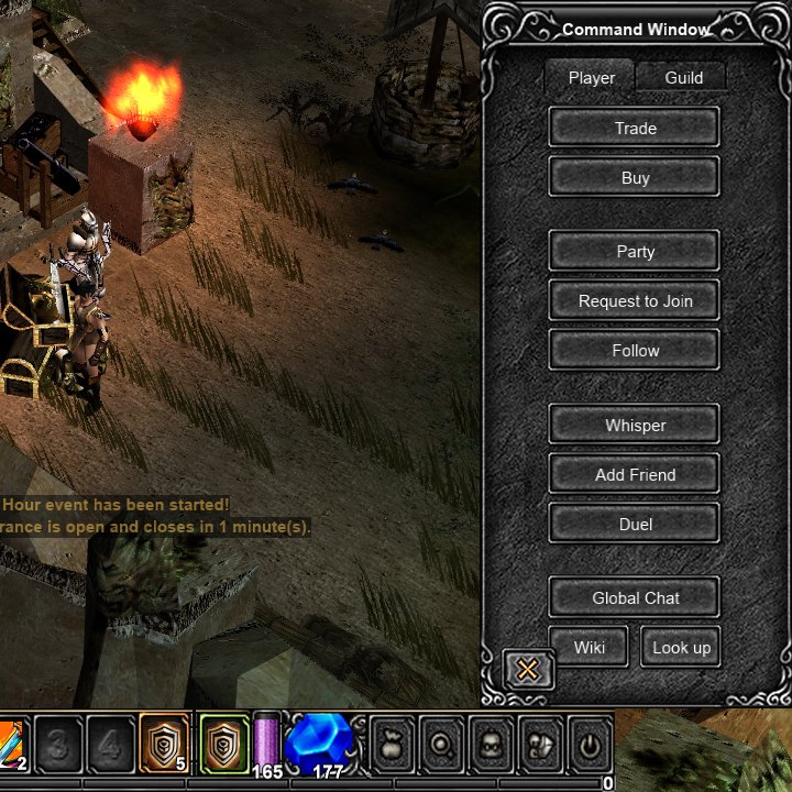 The Command Window with its Player and Guild tabs