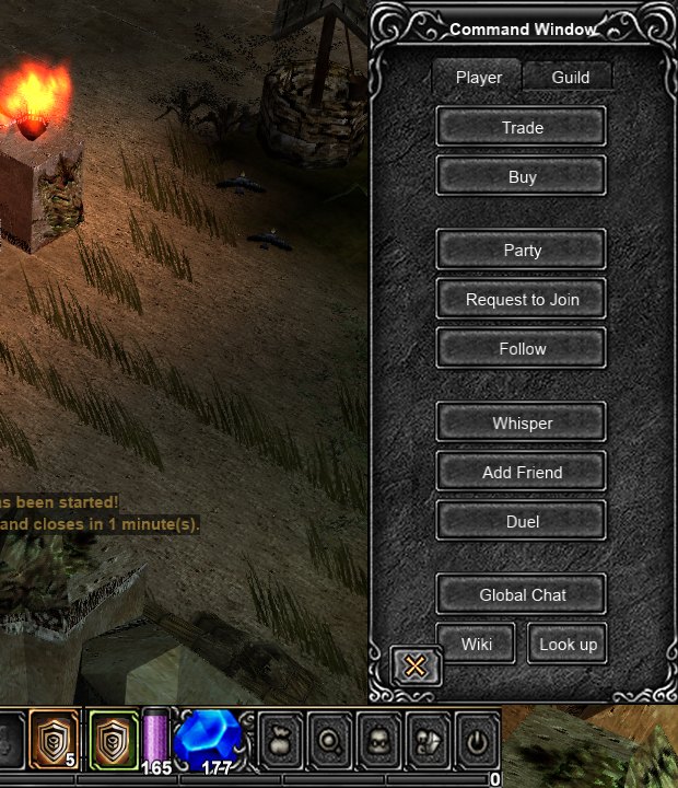 The Command Window