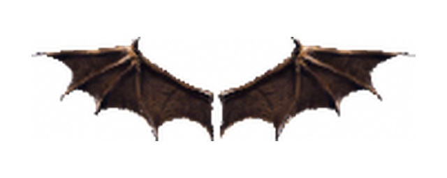 Wings of Satan