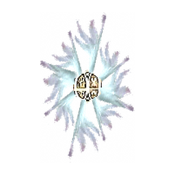Elven Shield