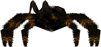 Spider